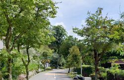 Cluny Road (D10), Detached #460732031